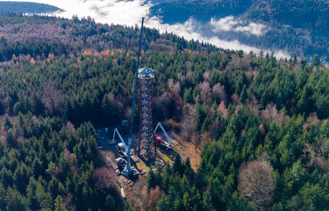 Vor genau einer Woche startete der Teilrückbau des Pforzheimer Aussichtsturms „Hohe Warte“. Hier ist er noch rund 40 Meter hoch, jetzt nur noch 15 Meter.<span class='image-autor'>Foto: Dominik Mokrski</span>