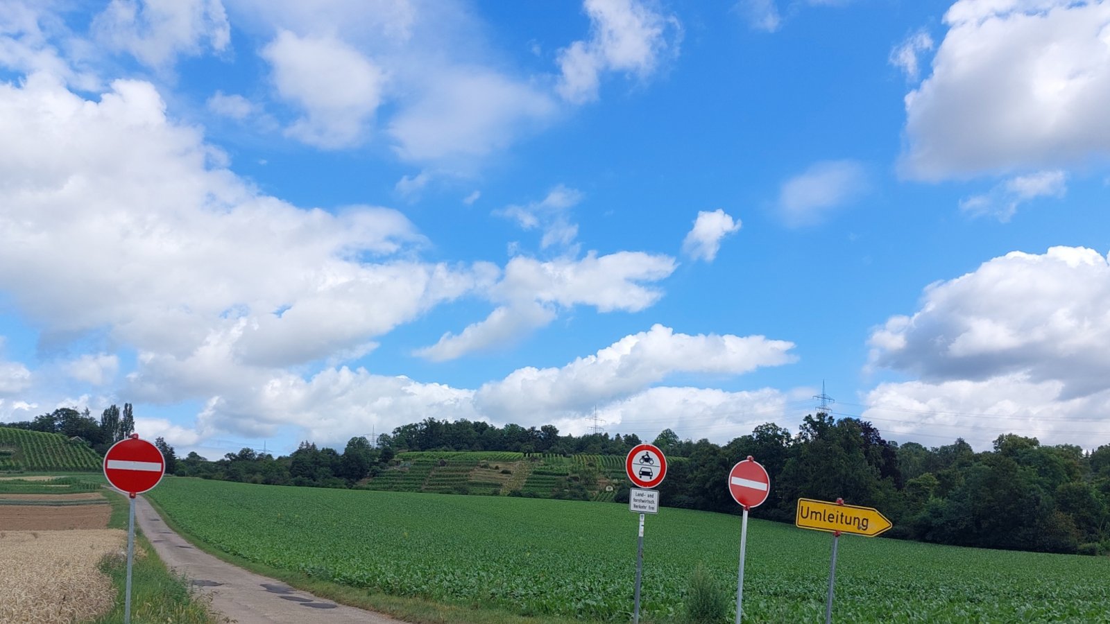 Einbahnstraßenregelung auf den Feldwegen am Leinfelder Hof bei Enzweihingen: Grund ist nach Auskunft der Vaihinger Stadtverwaltung die aktuelle Brückensperrung in Oberriexingen und der damit verbundene Ausweichverkehr über die Wirtschaftswege. Dort herrscht derzeit aber Hochbetrieb wegen der Ernte. „Um einen ordnungsgemäßen Verkehrsablauf der überbreiten landwirtschaftlichen Fahrzeuge (Mähdrescher etc.) auf den teilweisen schmalen Wirtschaftswegen sicherzustellen“, so die Stadt, gelte noch bis 31. August die aktuelle Verkehrsführung.  Foto: Blessing