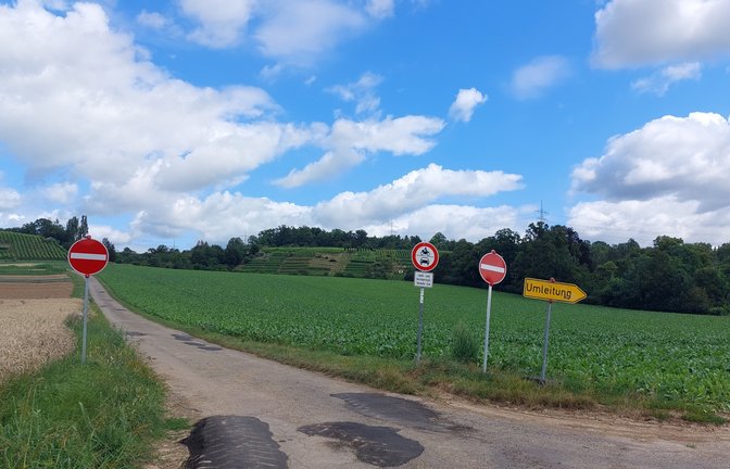 Einbahnstraßenregelung auf den Feldwegen am Leinfelder Hof bei Enzweihingen: Grund ist nach Auskunft der Vaihinger Stadtverwaltung die aktuelle Brückensperrung in Oberriexingen und der damit verbundene Ausweichverkehr über die Wirtschaftswege. Dort herrscht derzeit aber Hochbetrieb wegen der Ernte. „Um einen ordnungsgemäßen Verkehrsablauf der überbreiten landwirtschaftlichen Fahrzeuge (Mähdrescher etc.) auf den teilweisen schmalen Wirtschaftswegen sicherzustellen“, so die Stadt, gelte noch bis 31. August die aktuelle Verkehrsführung.  <span class='image-autor'>Foto: Blessing</span>