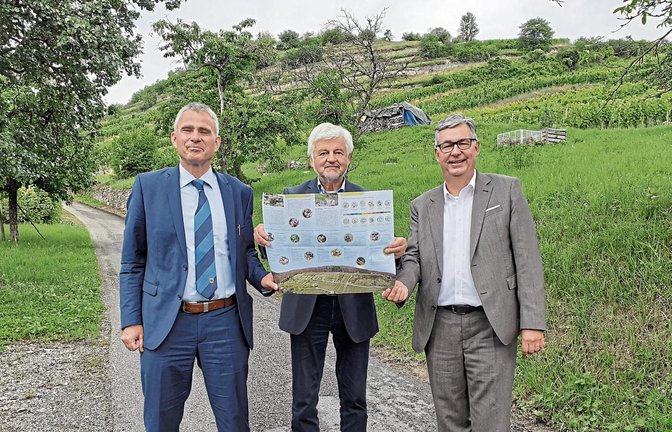 Sachsenheims Bürgermeister Holger Albrich, Regierungspräsident Wolfgang Reimer und Landrat Dietmar Allgaier (von links) präsentieren das neue Faltblatt über die kulturhistorische Weinlandschaft am Geigersberg in Ochsenbach.  Foto: Glemser
