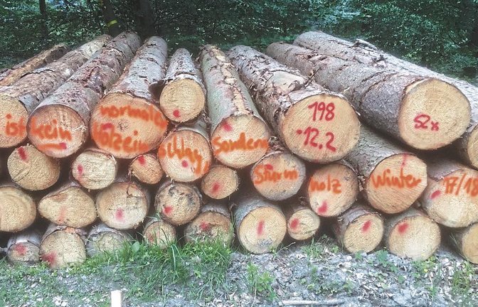 Die Lagerung des Sturmholzes stellt derzeit ein echtes Problem dar.  Foto: p