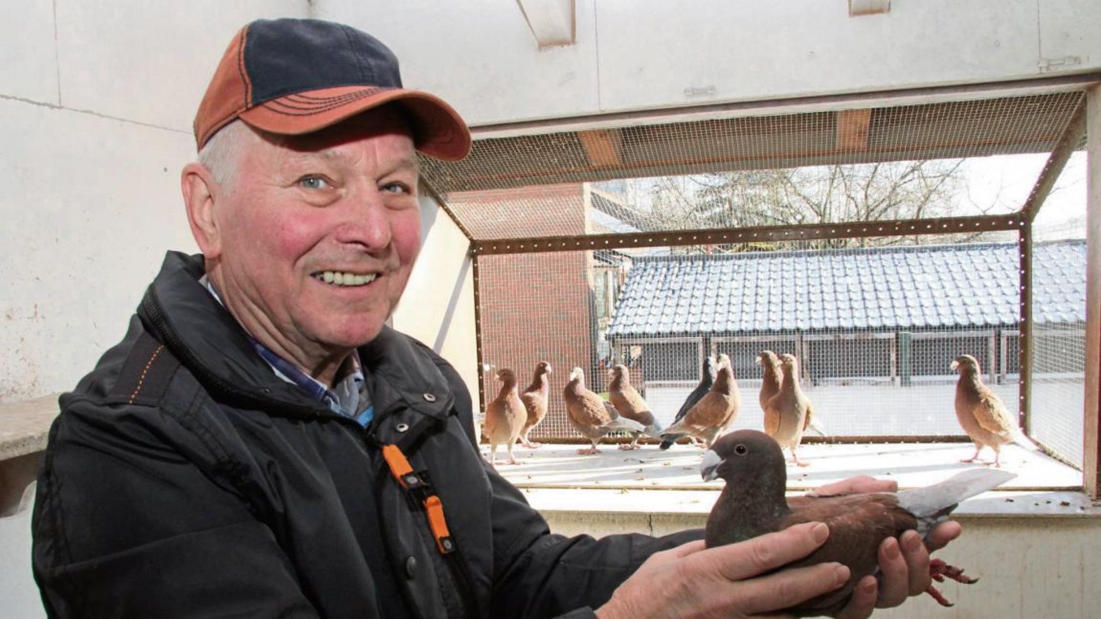 Heinz Speidel mit seiner roten Täubin, die 2015 den bundesweit ersten Platz in ihrer Rasse belegt hat. Fotos: Banholzer Heinz Speidel mit seiner roten Täubin, die 2015 den bundesweit ersten Platz in ihrer Rasse belegt hat. Fotos: Banholzer