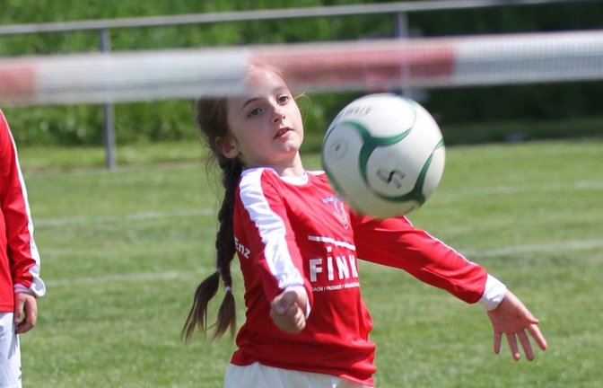Auch die Nachwuchsfaustballer des TV Vaihingen zeigen, was sie können und liefern starke Ergebnisse ab. <span class='image-autor'>Fotos: Dittrich</span>