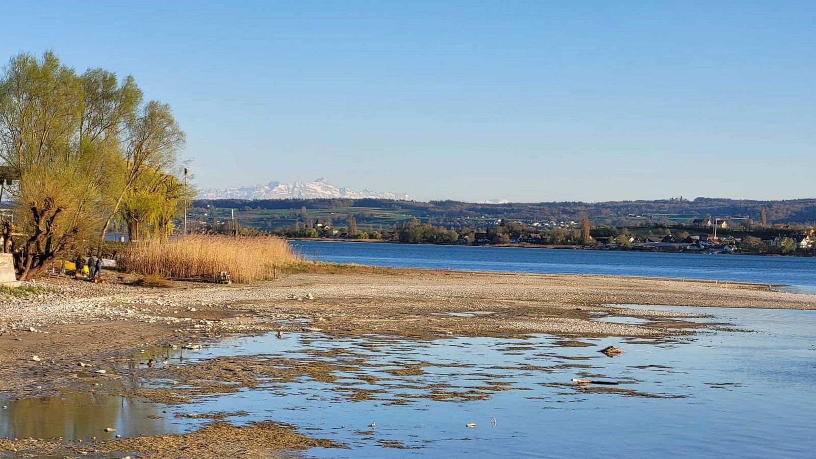 Am Ufer in Allensbach lädt der Gnadensee zur „Wattwanderung“Foto: oh/Tobias Strecker Am Ufer in Allensbach lädt der Gnadensee zur „Wattwanderung“Foto: oh/Tobias Strecker