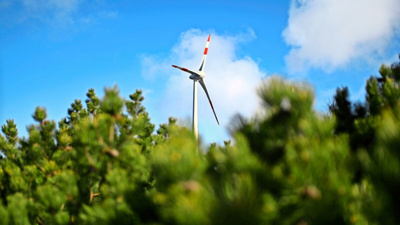 An diesen Anblick werden sich die Menschen in Baden-Württemberg gewöhnen müssen. Die Frage ist noch: wo stehen all die Windräder?Foto: dpa/Deck