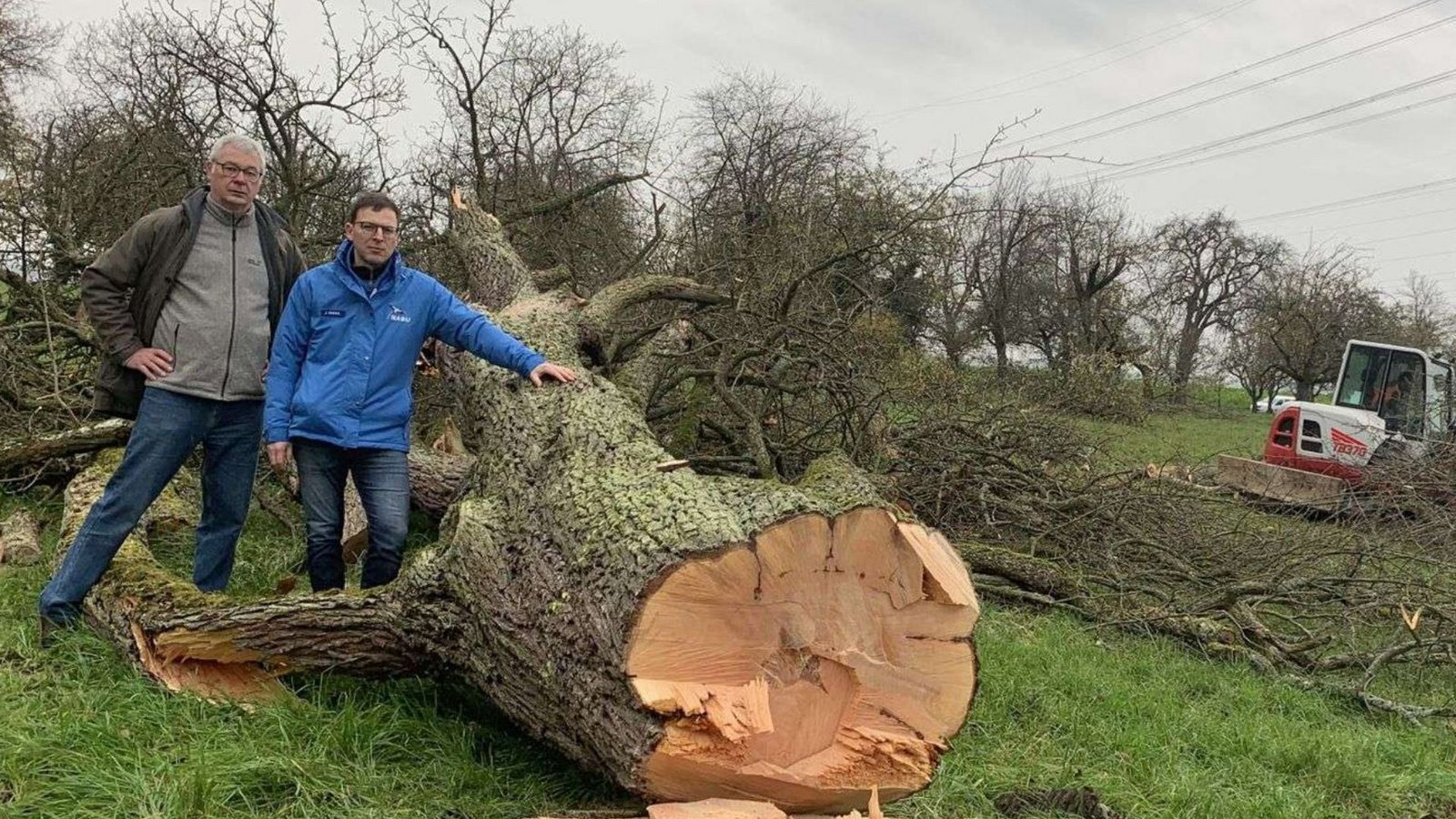Der Brettener Nabu-Chef Norbert Fleischer (links) und der Landesvorsitzende Johannes Enssle müssen tatenlos zusehen, wie die alte Streuobstwiese abgeholzt wird.Foto: Nabu BW Der Brettener Nabu-Chef Norbert Fleischer (links) und der Landesvorsitzende Johannes Enssle müssen tatenlos zusehen, wie die alte Streuobstwiese abgeholzt wird.Foto: Nabu BW
