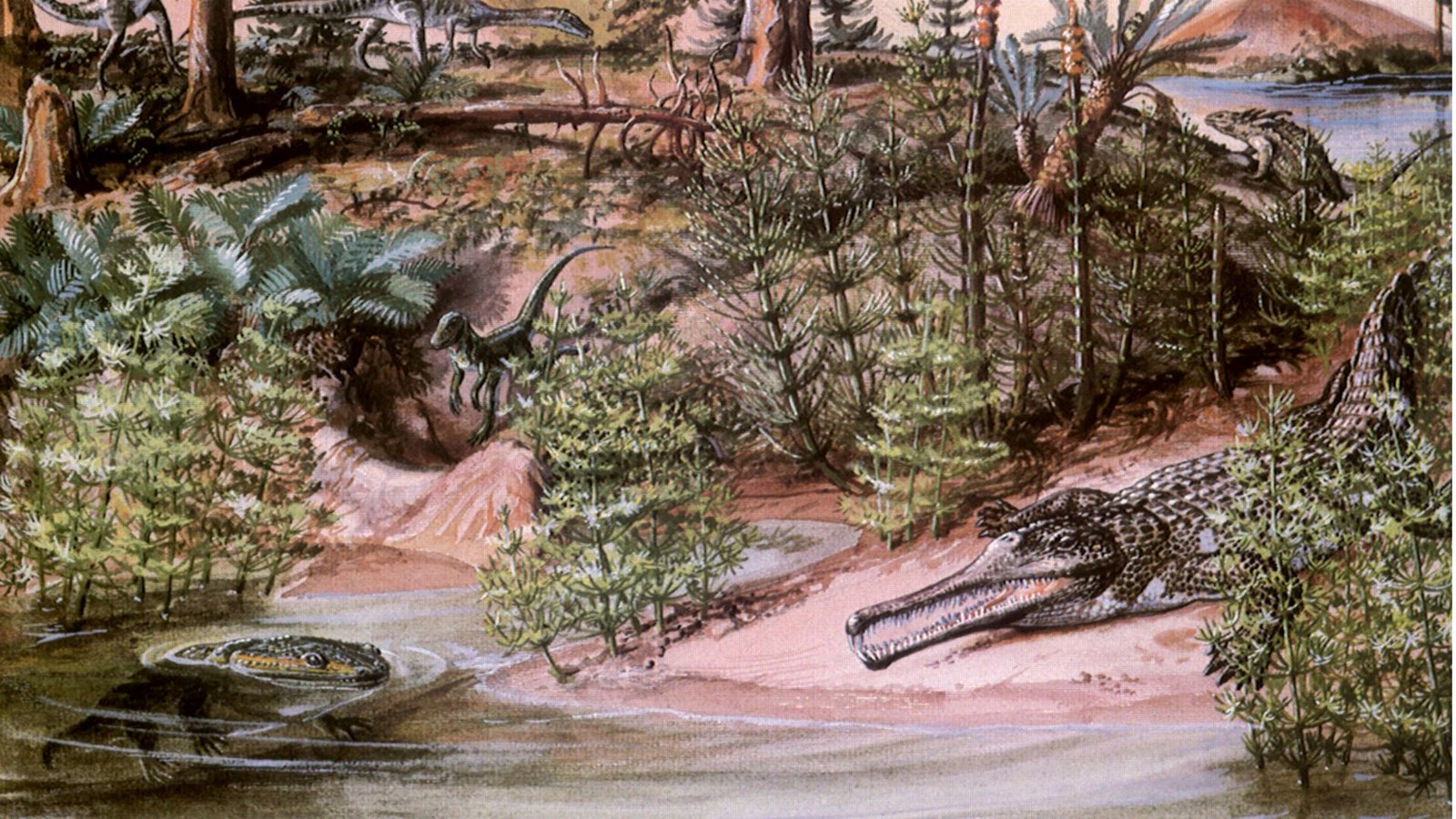 230 Millionen Jahre alt: Metoposauridae (links unten) konnten so groß wie moderne Alligatoren werden und zeichneten sich durch annähernd dreieckige flache Köpfe mit an deren Oberseite liegenden Augen aus.Foto: &nbsp;