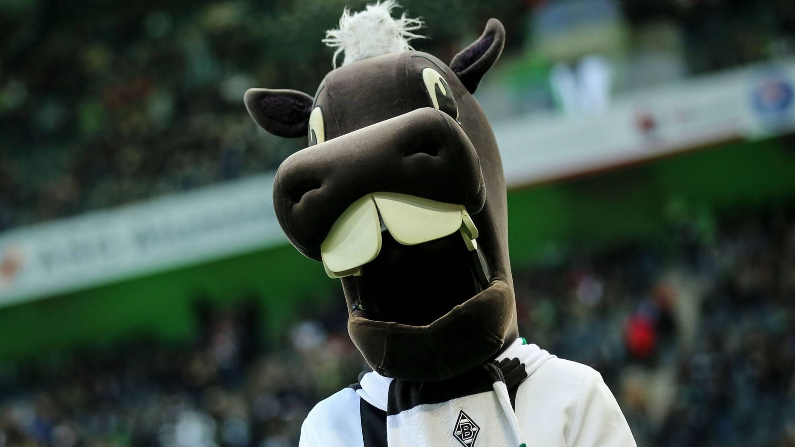Auch der Kölner Erzrivalen Borussia Mönchengladbach hat ein Maskottchen mit Kultcharakter: Der Fohle Jünter ist eine Hommage an Vereinsikone Günter Netzer, dessen rheinische Aussprache namensgebend war.Foto: imago/Eibner Auch der Kölner Erzrivalen Borussia Mönchengladbach hat ein Maskottchen mit Kultcharakter: Der Fohle Jünter ist eine Hommage an Vereinsikone Günter Netzer, dessen rheinische Aussprache namensgebend war.Foto: imago/Eibner