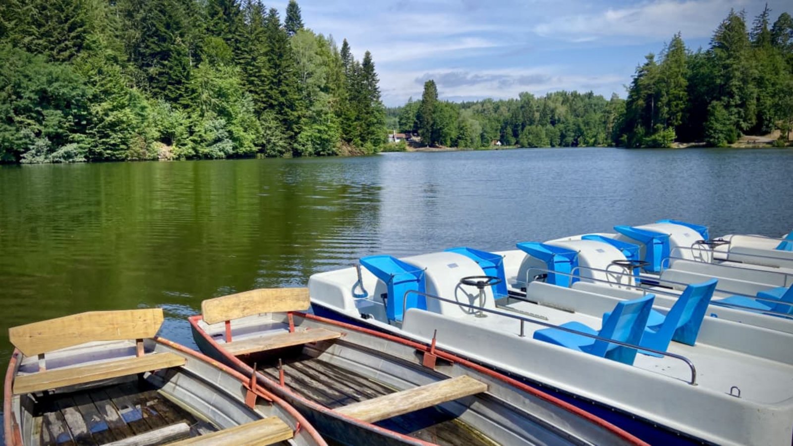 Der Ebnisee bei Welzheim liegt idyllisch von Wald umgeben und bietet mit Lokalen, Tretbooten und Badestellen alles, was man sich für einen herrlichen Sommertag wünscht.Thomas Faltin Der Ebnisee bei Welzheim liegt idyllisch von Wald umgeben und bietet mit Lokalen, Tretbooten und Badestellen alles, was man sich für einen herrlichen Sommertag wünscht.Thomas Faltin