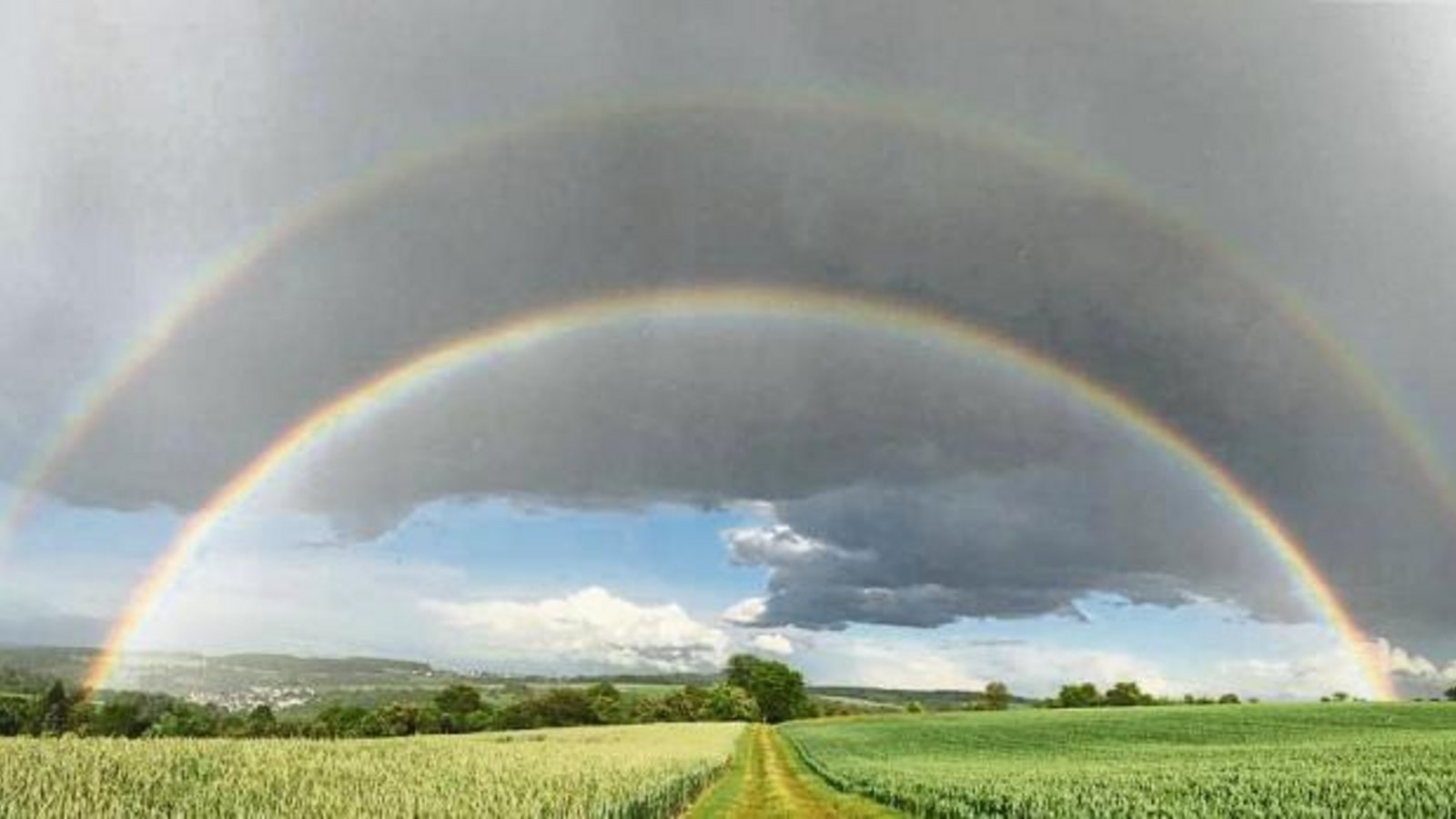 Eine Flut an Regenbogenbilder erreichte die Redaktion am Dienstagabend und Mittwochmorgen. Eins schöner als das andere. Dieses Naturspektakel über den Feldern von Nussdorf schickte Marc Föllips. Eine Flut an Regenbogenbilder erreichte die Redaktion am Dienstagabend und Mittwochmorgen. Eins schöner als das andere. Dieses Naturspektakel über den Feldern von Nussdorf schickte Marc Föllips.