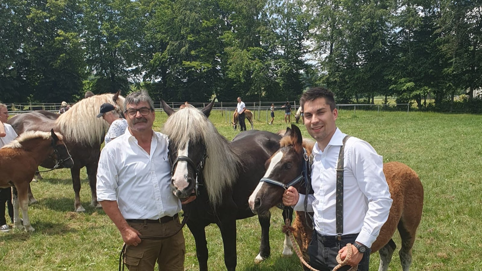 Gerhard und Martin Schillinger aus Gündelbach mit der Schwarzwälder Stute Liesa und ihrem Hengstfohlen Vino bei der Fohlenschau in Pfullendorf. Vino wurde für sein aktuelles Erscheinungsbild und seine Bewegung mit Gold prämiert. Foto: p Gerhard und Martin Schillinger aus Gündelbach mit der Schwarzwälder Stute Liesa und ihrem Hengstfohlen Vino bei der Fohlenschau in Pfullendorf. Vino wurde für sein aktuelles Erscheinungsbild und seine Bewegung mit Gold prämiert. Foto: p