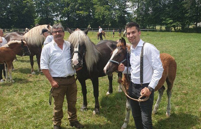 Gerhard und Martin Schillinger aus Gündelbach mit der Schwarzwälder Stute Liesa und ihrem Hengstfohlen Vino bei der Fohlenschau in Pfullendorf. Vino wurde für sein aktuelles Erscheinungsbild und seine Bewegung mit Gold prämiert. <span class='image-autor'>Foto: p</span>