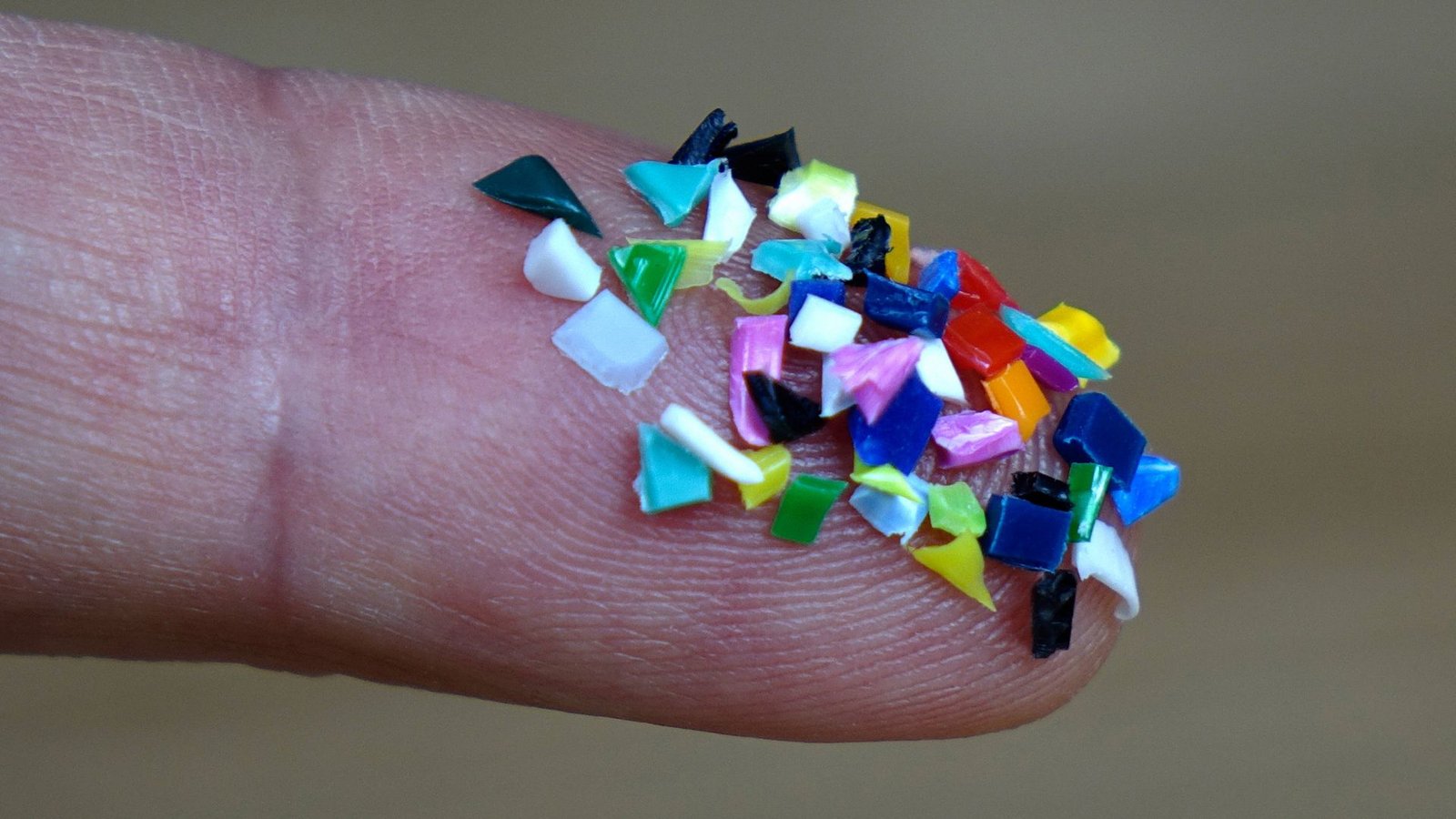 Katrin Schuhen hat eine Mission: Sie will Mikroplastik direkt in der Industrie oder in den Kläranlagen aus dem Wasser holen, bevor es in die Flüsse gelangt.Foto: IMAGO/Steinach