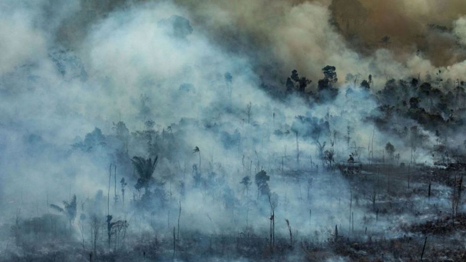 Rauch steigt auf aus einem verbrannten Feld in Jamanxim nahe der Stadt Novo Progresso im brasilianischen Staat Para: Die globale Landfläche umfasst rund 13 Milliarden Hektar Land. Davon sind etwa 3,2 Milliarden Hektar potenzielles Anbauland, wobei de facto knapp die Hälfte für die Landwirtschaft zur Verfügung steht.Foto: Victor Moriyama/Greenpeace Brazil/dpa Rauch steigt auf aus einem verbrannten Feld in Jamanxim nahe der Stadt Novo Progresso im brasilianischen Staat Para: Die globale Landfläche umfasst rund 13 Milliarden Hektar Land. Davon sind etwa 3,2 Milliarden Hektar potenzielles Anbauland, wobei de facto knapp die Hälfte für die Landwirtschaft zur Verfügung steht.Foto: Victor Moriyama/Greenpeace Brazil/dpa