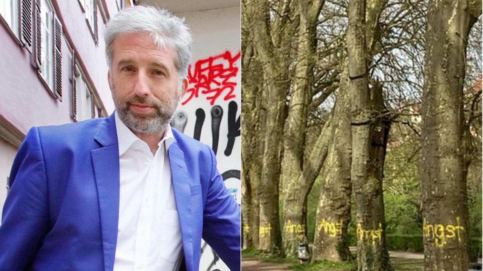 Die vollgesprühten Bäume in der Platanenallee haben für einen Tübinger Rentner das Fass zum Überlaufen gebracht. Deshalb stellt er 5000 Euro für Palmers Kampf gegen illegale Graffitis zur Verfügung.Foto: Horst Haas/Facebook-Profil Boris Palmer