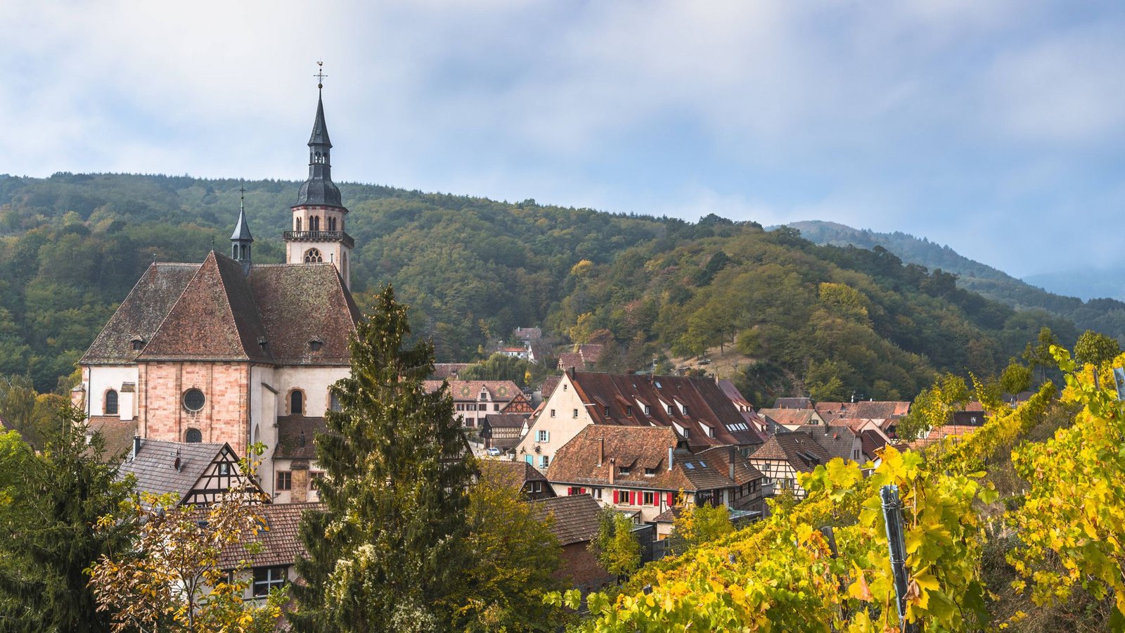 Die Elsässer Weinstraße feiert in diesem Jahr ihren 70. Geburtstag. 170 Kilometer ist die Route lang und führt durch die schönsten Weinorte. Die Weinstraße lässt sich super erradeln. Von Marlenheim bis Thann führt die Véloroute du Vignoble d’Alsace, der Radweg ist ein Teil des europäischen Radwanderwegs EuroVelo 5.Foto: imago images/CHROMORANGE/CHROMORANGE / Juergen Feuerer Die Elsässer Weinstraße feiert in diesem Jahr ihren 70. Geburtstag. 170 Kilometer ist die Route lang und führt durch die schönsten Weinorte. Die Weinstraße lässt sich super erradeln. Von Marlenheim bis Thann führt die Véloroute du Vignoble d’Alsace, der Radweg ist ein Teil des europäischen Radwanderwegs EuroVelo 5.Foto: imago images/CHROMORANGE/CHROMORANGE / Juergen Feuerer