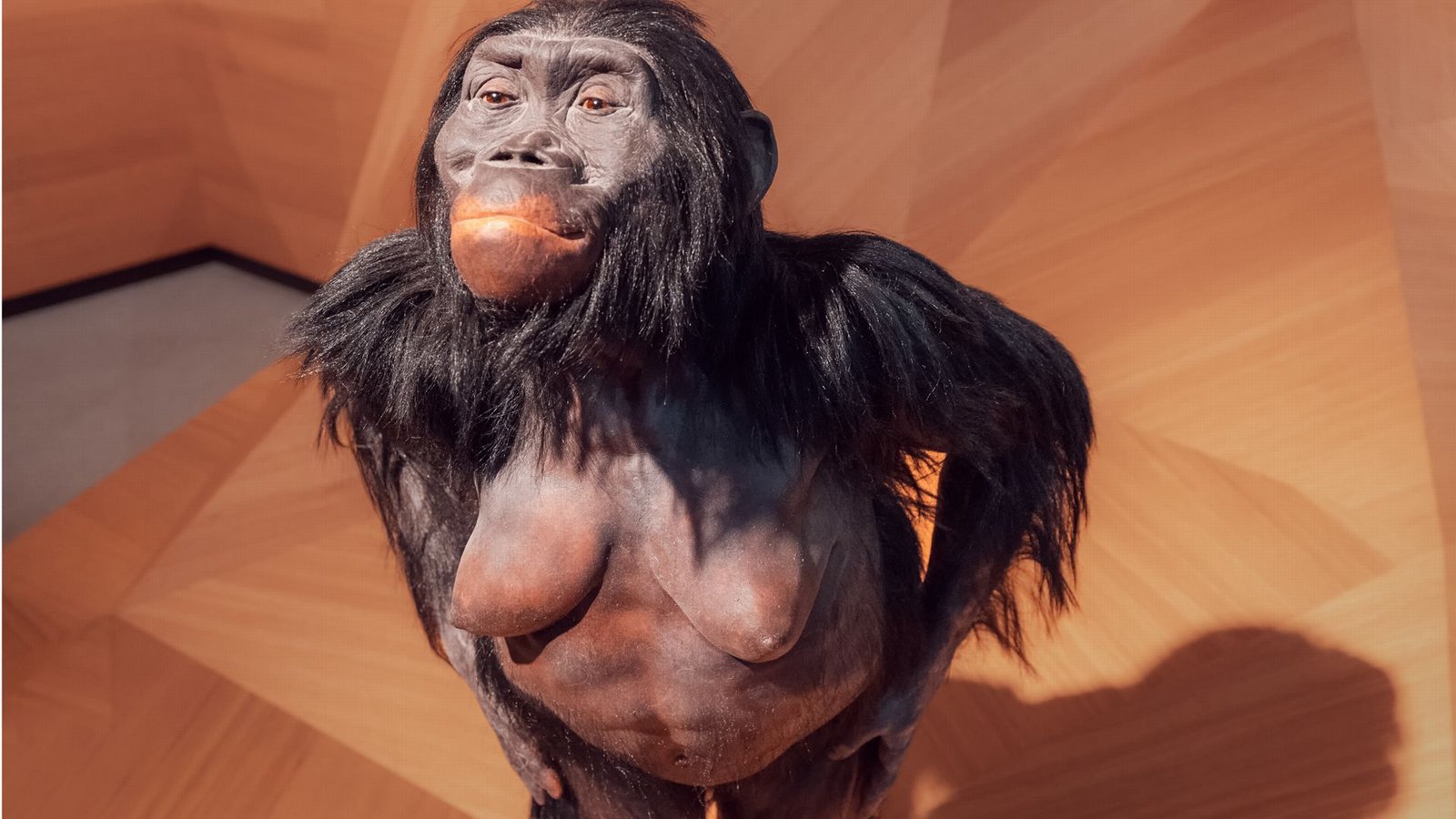 Nachbildung des Australopithecus-afarensis-Weibchens Lucy im Neanderthal-Museum im nordrhein-westfälischen Mettmann.Foto: Imago/Depositphotos Nachbildung des Australopithecus-afarensis-Weibchens Lucy im Neanderthal-Museum im nordrhein-westfälischen Mettmann.Foto: Imago/Depositphotos