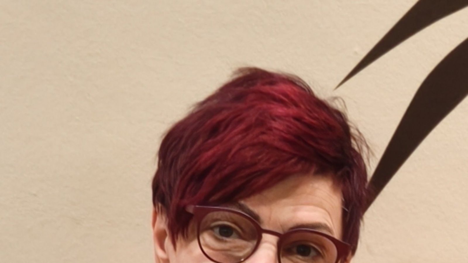 Anita Götz Gemeinderat Vaihingen Ortschaftsrat Horrheim 70. Geburtstag Foto:pv 