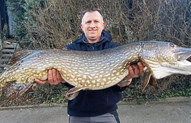 Der Vaihinger Angler Sascha Schickart mit seiner Hechtdame Kleopatra aus der Enz.  Foto: p