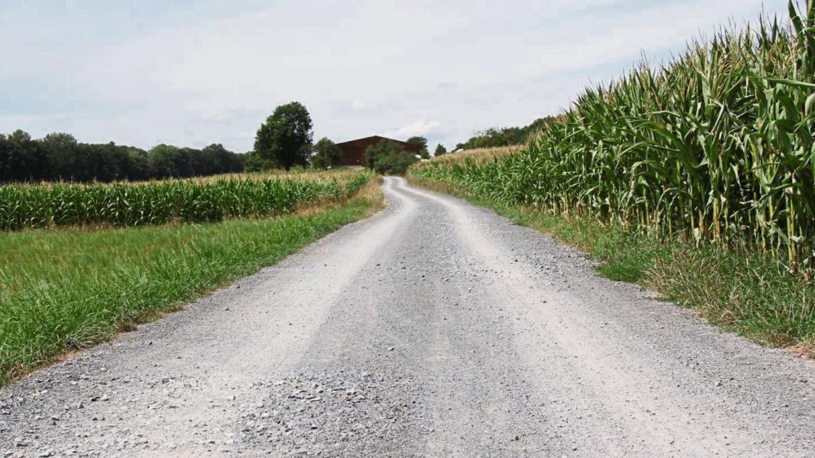 Nachdem die Gemeinde Illingen den Feldweg zwischen Illingen und Lienzingen sanieren lassen hat, können ihn Radfahrer, Spaziergänger und Jogger wieder gefahrlos nutzen. Die kraterförmigen Löcher gehören der Vergangenheit an. Foto: Elsässer Nachdem die Gemeinde Illingen den Feldweg zwischen Illingen und Lienzingen sanieren lassen hat, können ihn Radfahrer, Spaziergänger und Jogger wieder gefahrlos nutzen. Die kraterförmigen Löcher gehören der Vergangenheit an. Foto: Elsässer