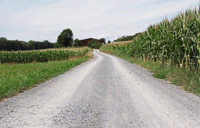 Nachdem die Gemeinde Illingen den Feldweg zwischen Illingen und Lienzingen sanieren lassen hat, können ihn Radfahrer, Spaziergänger und Jogger wieder gefahrlos nutzen. Die kraterförmigen Löcher gehören der Vergangenheit an.  Foto: Elsässer