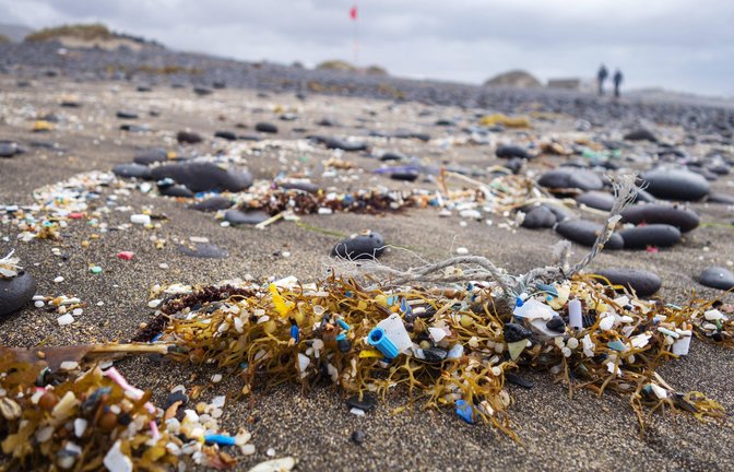 Plastik und Mikroplastik lagert sich nicht nur an Stränden ab, sondern auch in den Körpern von Lebewesen.<span class='image-autor'>Foto: imago/imagebroker</span>