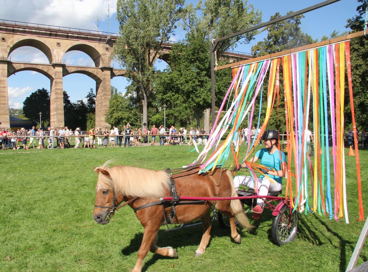 Pferdemarkt 2023 Das Leben ist manchmal