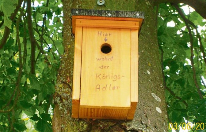 Zu unserem Foto vom 2. Juni, auf dem Insekten ein Vogelhaus bevölkern, meint Carsten Bube, dass man die Tierchen schon auch informieren müsse – und schickt diesen Schnappschuss.