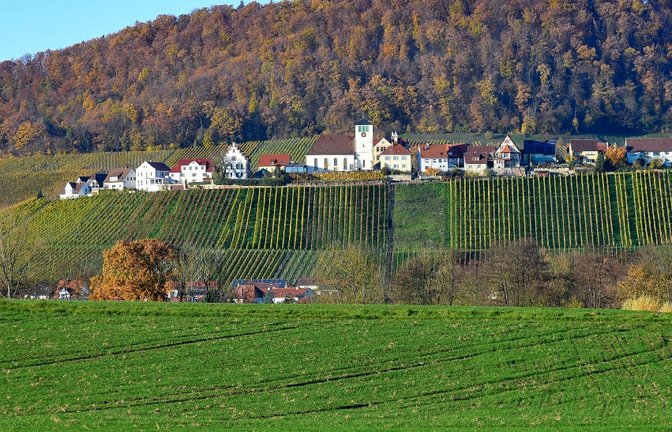 Der Kalkofen war als Deponiestandort im Gespräch.  <span class='image-autor'>Foto: Kalb</span>