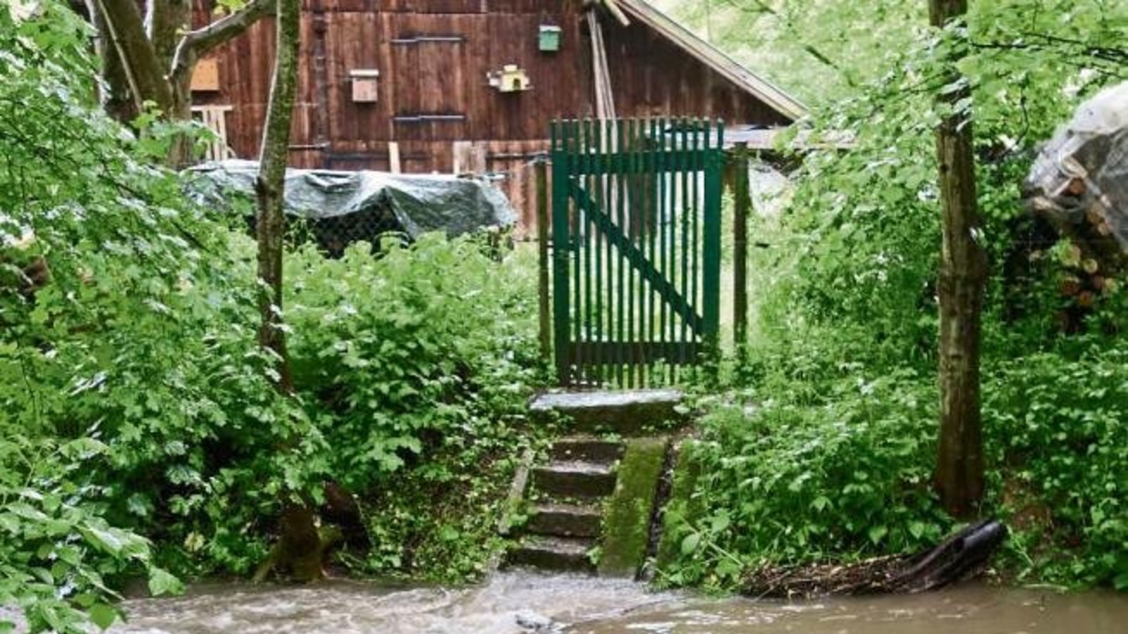Der sonst beschauliche Kreuzbach ist gestern durch die Regenfracht wild.  Foto: Rücker