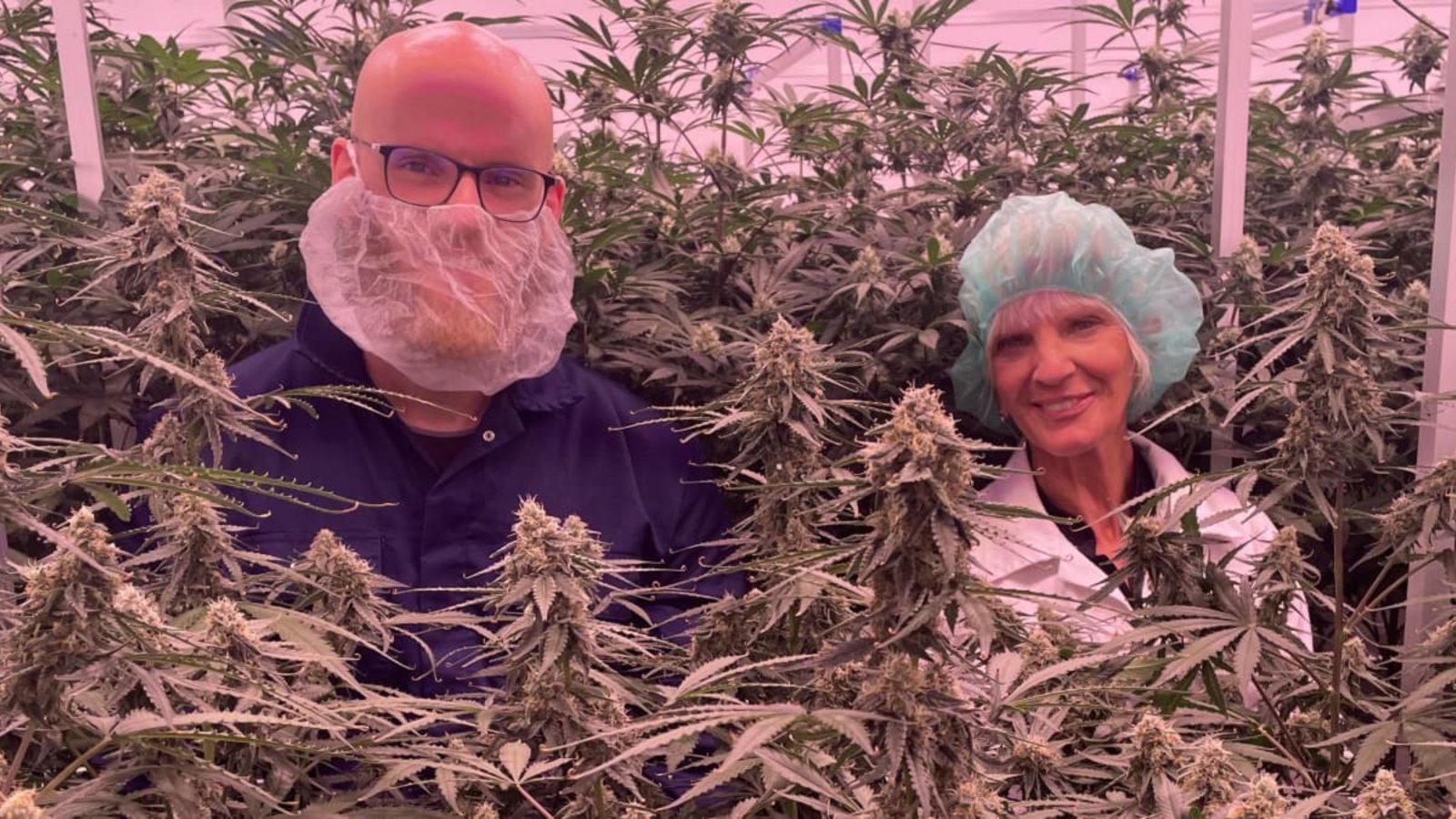 Émeric Beautier und Bea Gadorosi inmitten ihrer legal angebauten Cannabis-PflanzenChris Lederer Émeric Beautier und Bea Gadorosi inmitten ihrer legal angebauten Cannabis-PflanzenChris Lederer