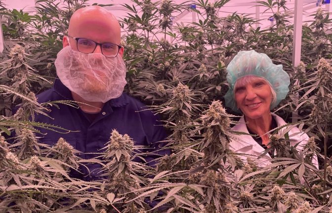 Émeric Beautier und Bea Gadorosi inmitten ihrer legal angebauten Cannabis-Pflanzen<span class='image-autor'>Chris Lederer</span>