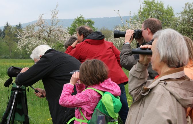 Wo singt und piept es? Aufmerksam beobachteten die Teilnehmenden die sich präsentierende frühlingshafte Vogelschar.  <span class='image-autor'>Foto: p</span>