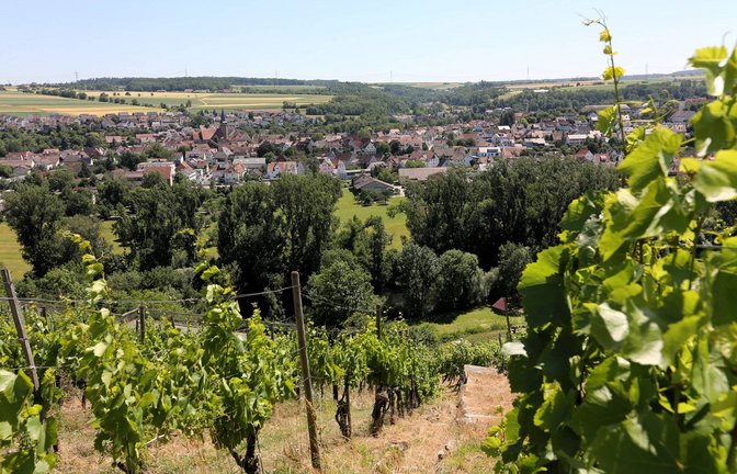 Blick auf Enzweihingen: Der Regionalverband will mit einem Zukunftspakt den Weinbau fördern. Archivfoto: VKZ/Küppers
