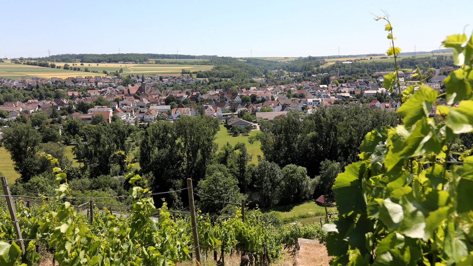 Blick auf Enzweihingen: Der Regionalverband will mit einem Zukunftspakt den Weinbau fördern. Archivfoto: VKZ/Küppers Blick auf Enzweihingen: Der Regionalverband will mit einem Zukunftspakt den Weinbau fördern. Archivfoto: VKZ/Küppers