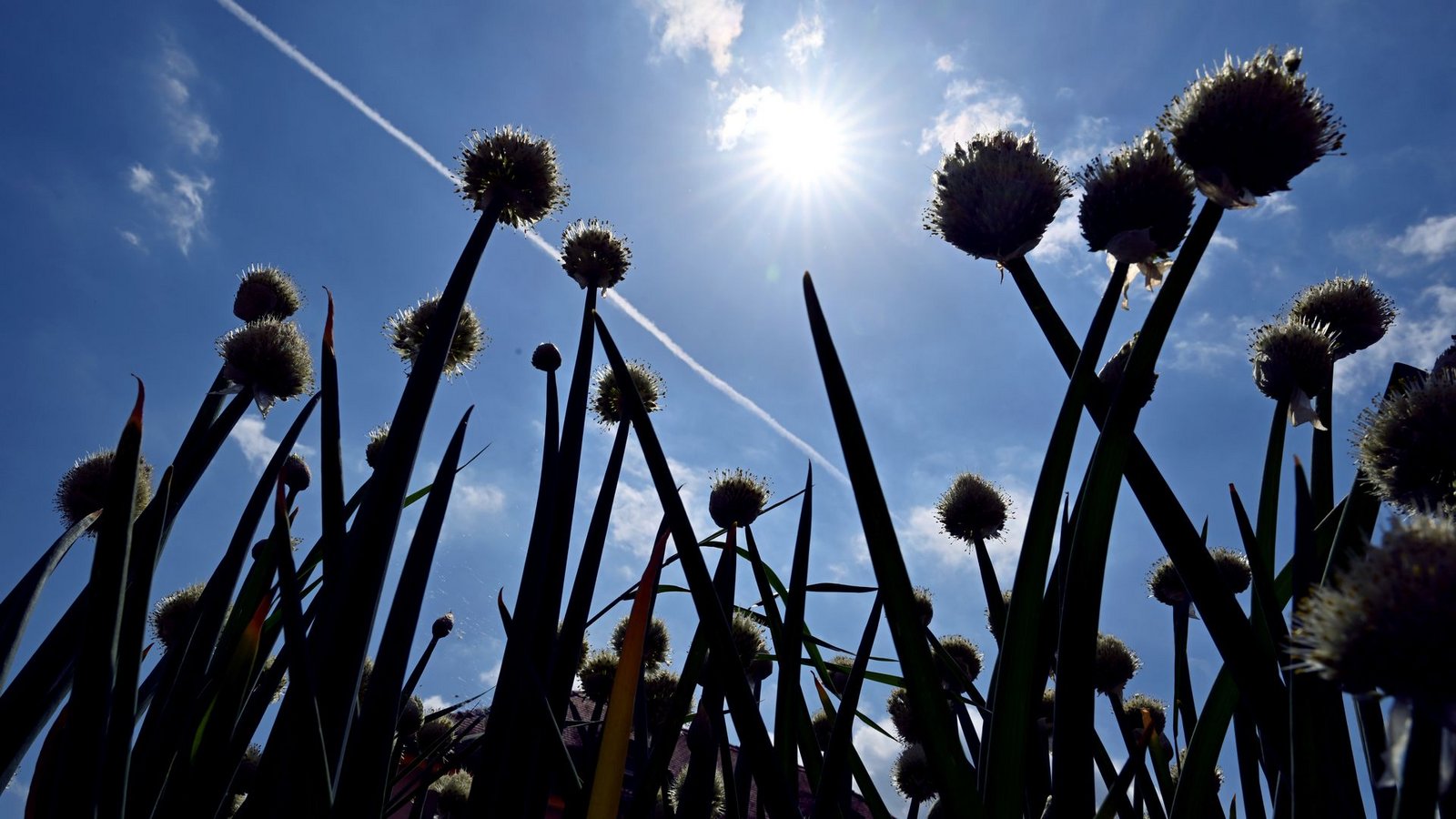 Ganz so viel Sonnenschein wird es in den kommenden Tagen wohl nicht mehr geben, heiß bleibt es dennoch.Foto: Martin Schutt/dpa