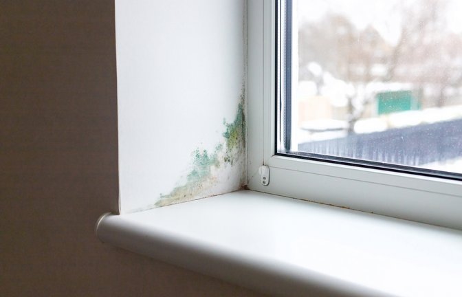 Erfahren Sie, ab welcher Luftfeuchtigkeit Schimmel entstehen kann & wie Sie diesem vorbeugen können. Alle Grenzwerte im Überblick.<span class='image-autor'>Foto: Tatevosian Yana / Shutterstock.com</span>