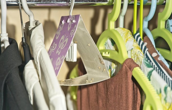 So eine Falle kann helfen.<span class='image-autor'>Foto: csikiphoto / shutterstock.com</span>