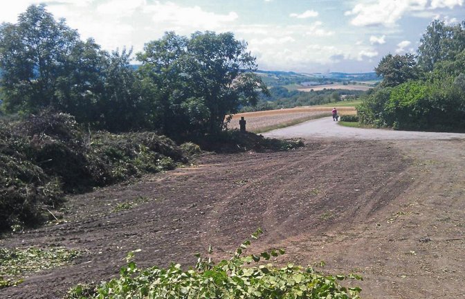 Wird der Hochdorfer Häckselplatz nicht saniert, möchte die AVL den Platz künftig nicht mehr anfahren. Foto: p