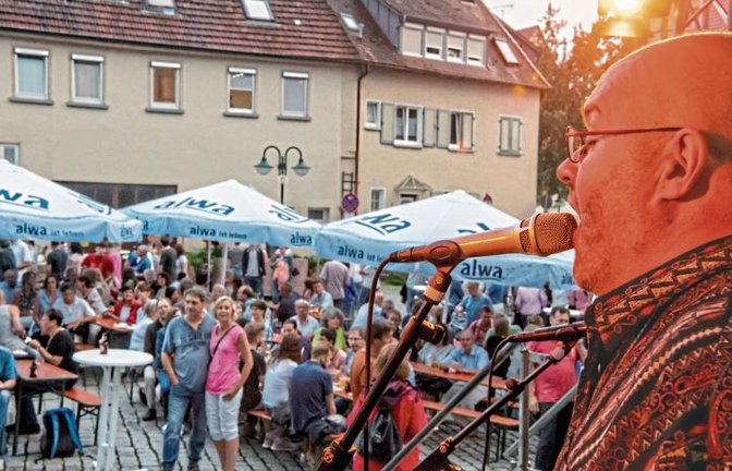 Hornflakes spielt auf dem Straßenfest in Sachsenheim. Foto: Kalb