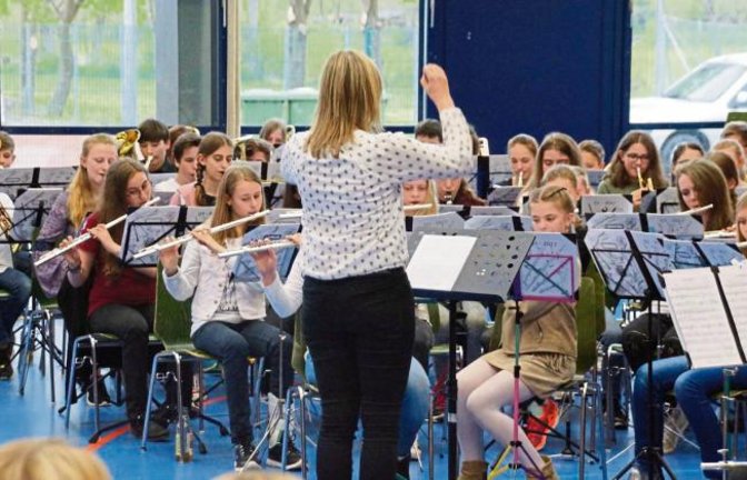 Die Musiker zeigen in Sersheim ihr Können.  Foto: p