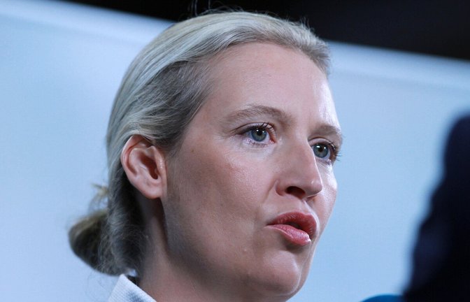 An Alice Weidel führt im Land kein Weg vorbei.<span class='image-autor'>Foto: IMAGO/dts Nachrichtenagentur/IMAGO/dts Nachrichtenagentur</span>