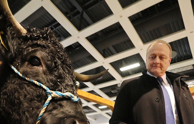 Umstritten: Bauernpräsident Joachim Ruckwied will Erntehelfern  nur noch 80 Prozent des Mindestlohns zahlen.<span class='image-autor'>Foto: dpa</span>