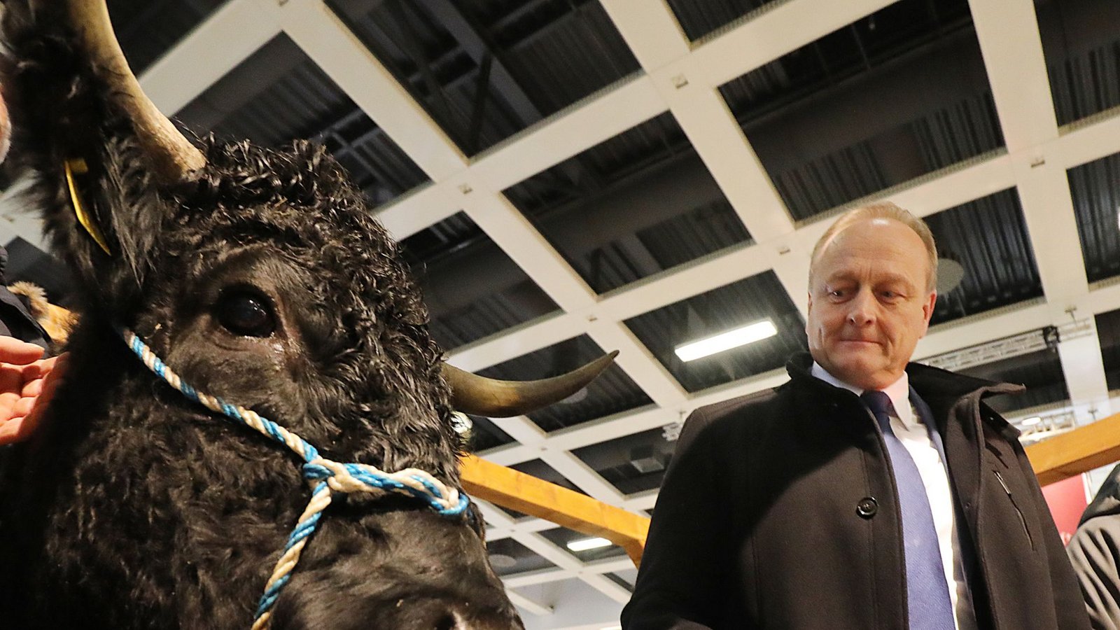 Umstritten: Bauernpräsident Joachim Ruckwied will Erntehelfern  nur noch 80 Prozent des Mindestlohns zahlen.Foto: dpa
