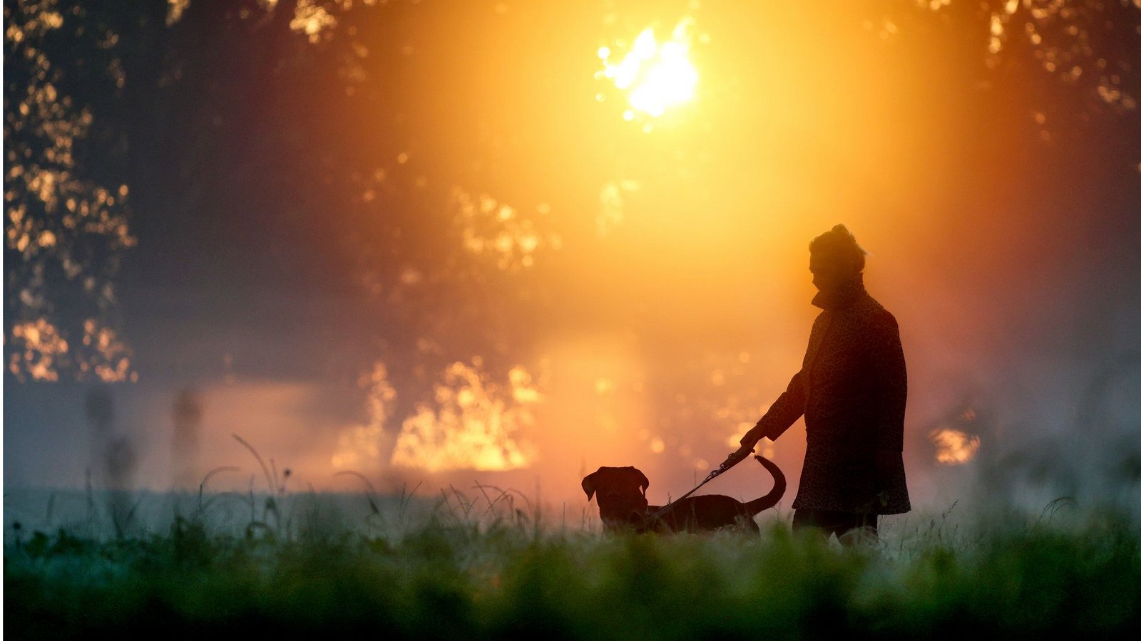Viele Hundebesitzer haben Tricks auf Lager. Einen besonderen hat der Mann, den unsere Kolumnistin regelmäßig beobachtet.Foto: dpa/Thomas Warnack Viele Hundebesitzer haben Tricks auf Lager. Einen besonderen hat der Mann, den unsere Kolumnistin regelmäßig beobachtet.Foto: dpa/Thomas Warnack