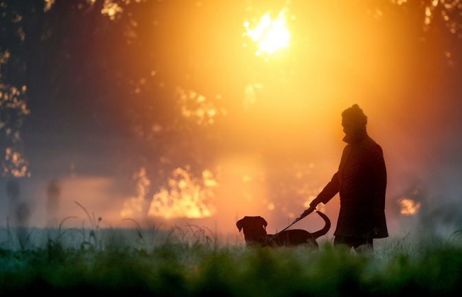Viele Hundebesitzer haben Tricks auf Lager. Einen besonderen hat der Mann, den unsere Kolumnistin regelmäßig beobachtet.<span class='image-autor'>Foto: dpa/Thomas Warnack</span>