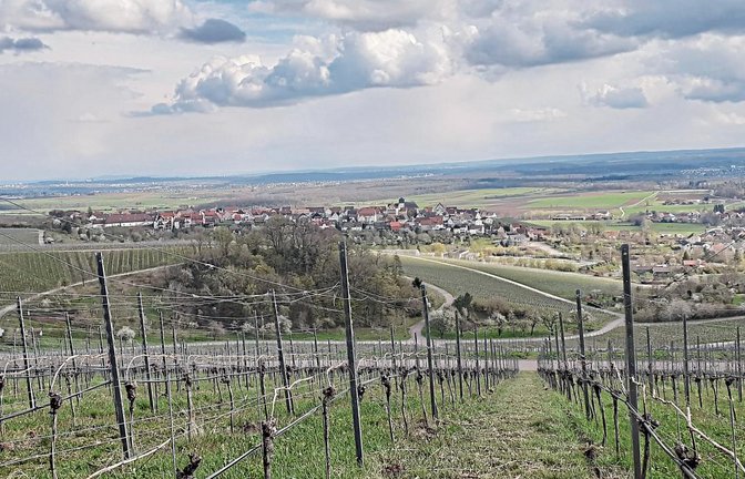 Auf dem Berg in Hohenhaslach: Richtlinien für die kommenden Generationen erarbeiten. Foto: Glemser
