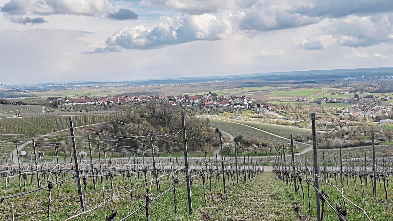 Auf dem Berg in Hohenhaslach: Richtlinien für die kommenden Generationen erarbeiten. Foto: Glemser Auf dem Berg in Hohenhaslach: Richtlinien für die kommenden Generationen erarbeiten. Foto: Glemser