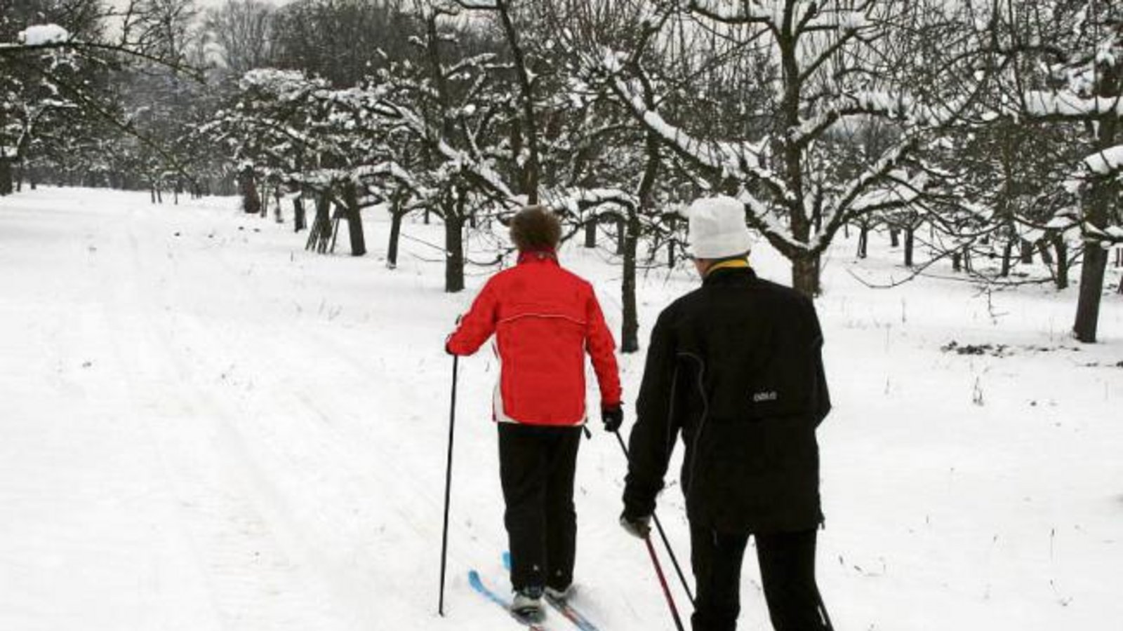 Übrigens: Morgen (22. 12.) ist laut Kalender Winteranfang. Zur Erinnerung: Das könnte so aussehen (Bild von 2010). Foto: Arning