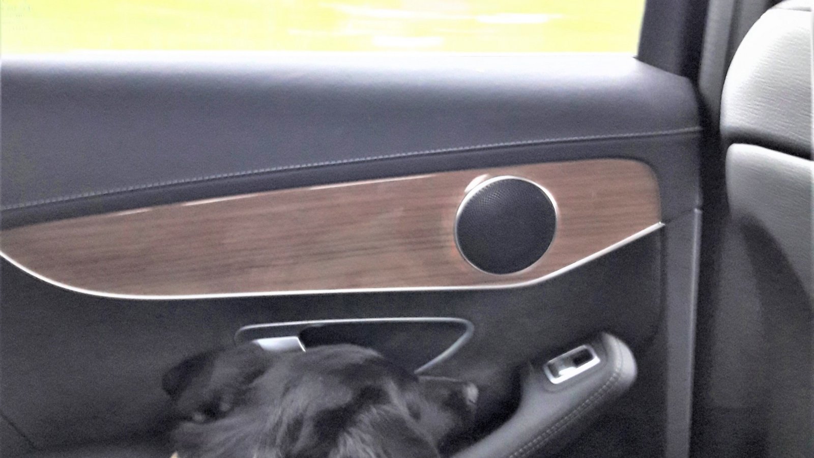 Nun ist es bewiesen: Bei den Armlehnen von Autotüren handelt es sich in Wahrheit um Kopfstützen für den Hund.  Foto: Rücker